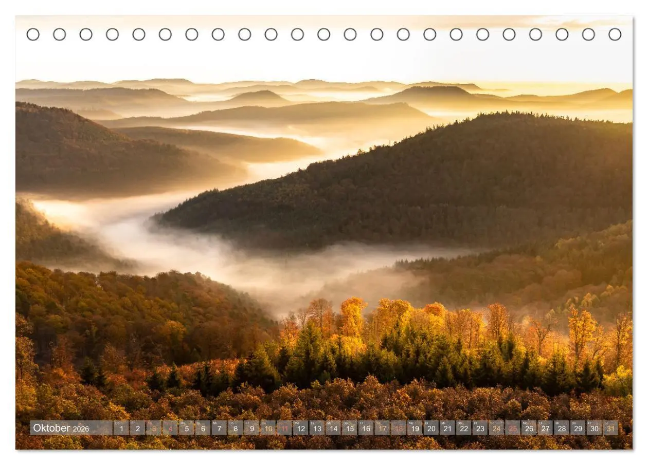 Bild: 9783457563762 | Naturparadies Pfälzerwald (Tischkalender 2026 DIN A5 quer),...