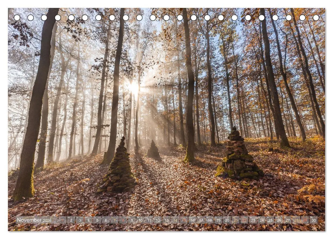 Bild: 9783457563762 | Naturparadies Pfälzerwald (Tischkalender 2026 DIN A5 quer),...