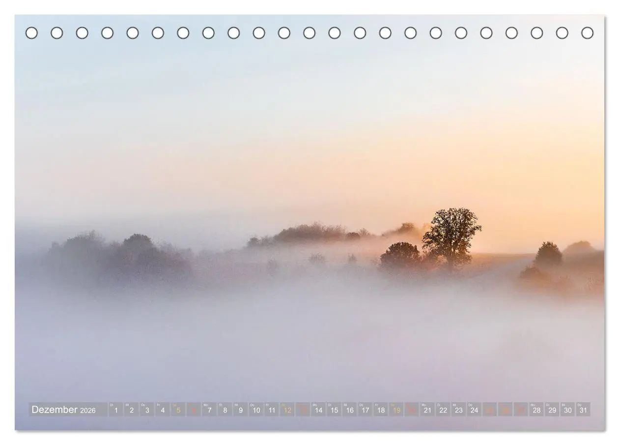 Bild: 9783457563762 | Naturparadies Pfälzerwald (Tischkalender 2026 DIN A5 quer),...