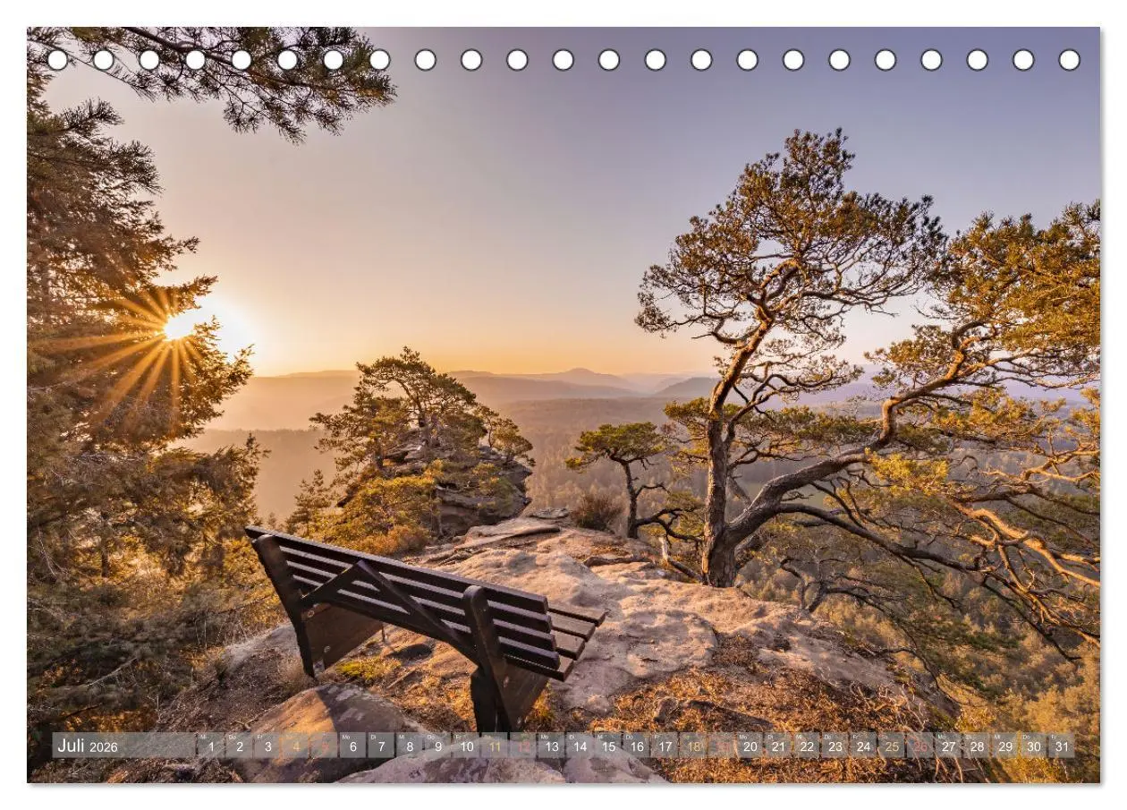 Bild: 9783457563762 | Naturparadies Pfälzerwald (Tischkalender 2026 DIN A5 quer),...