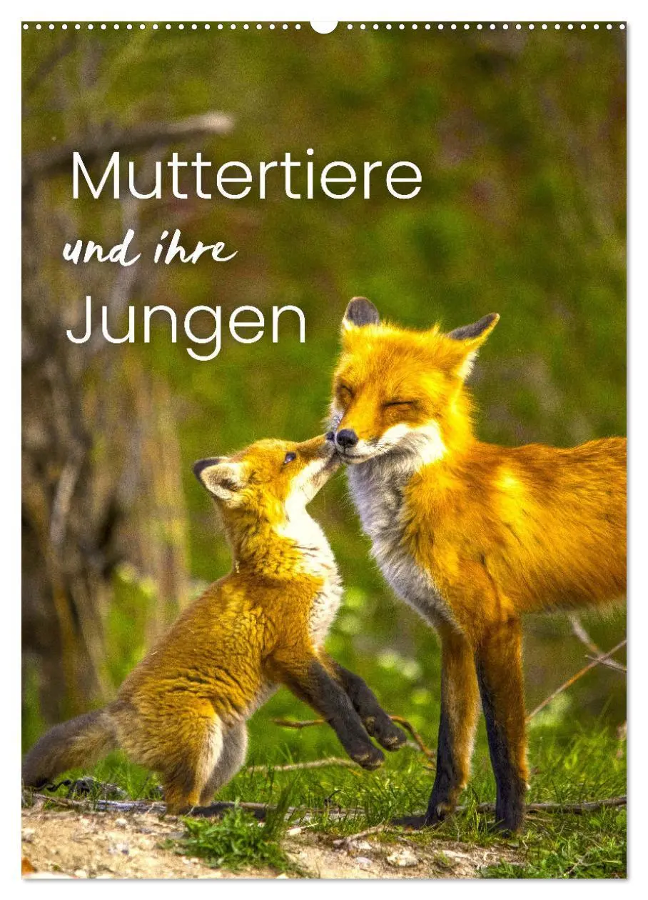Cover: 9783516343762 | Muttertiere und ihre Jungen (Wandkalender 2026 DIN A2 hoch),...