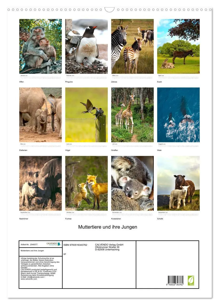 Bild: 9783516343762 | Muttertiere und ihre Jungen (Wandkalender 2026 DIN A2 hoch),...