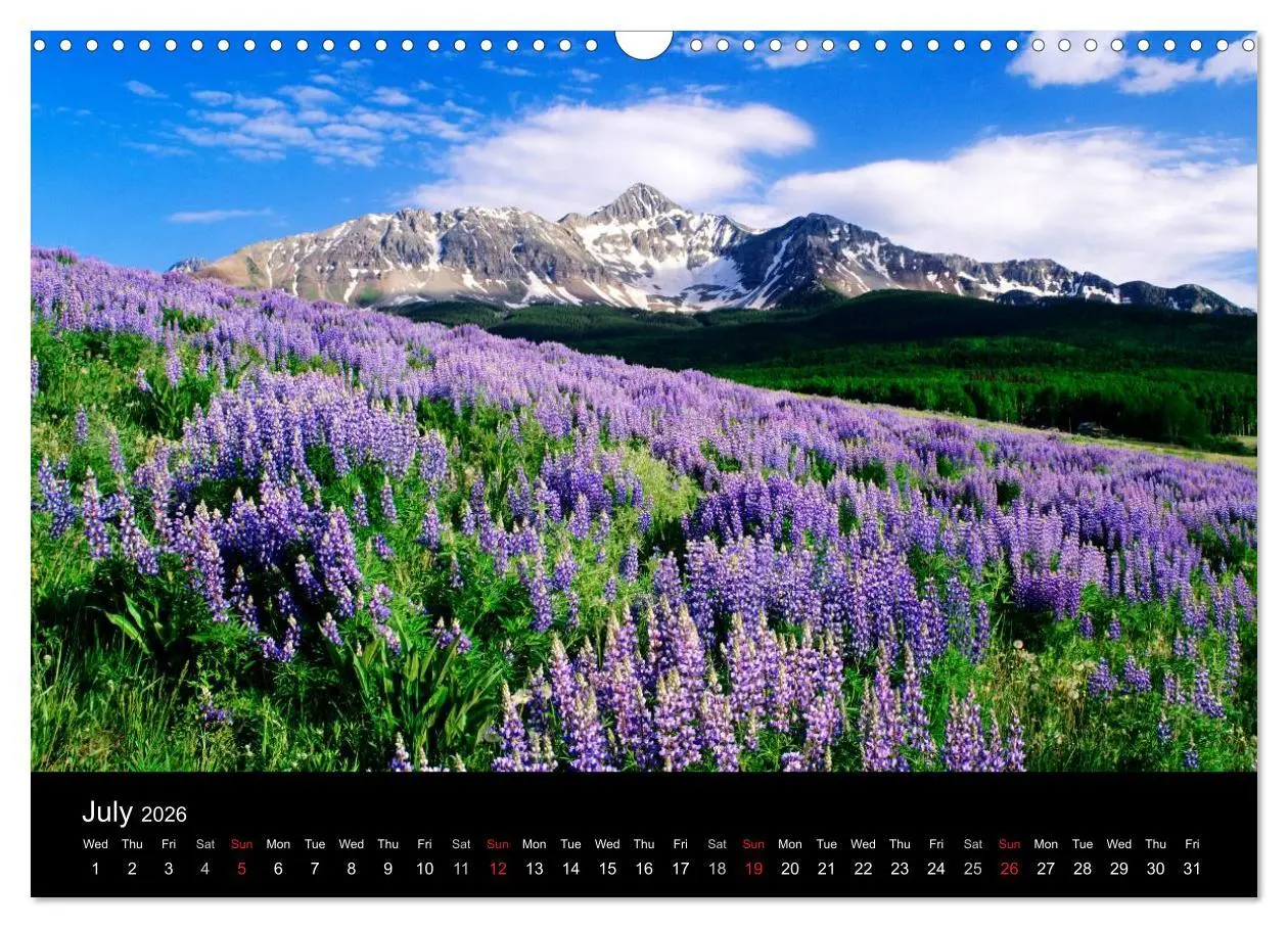Bild: 9783516583762 | USA - National Parks (Wall Calendar 2026 DIN A3 landscape),...