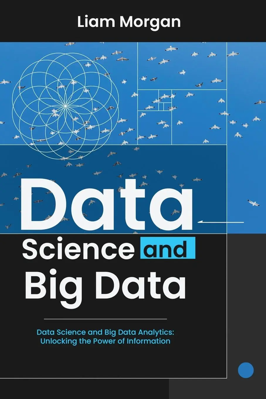 Cover: 9798869063762 | DATA SCIENCE AND BIG DATA | Liam Morgan | Taschenbuch | Englisch