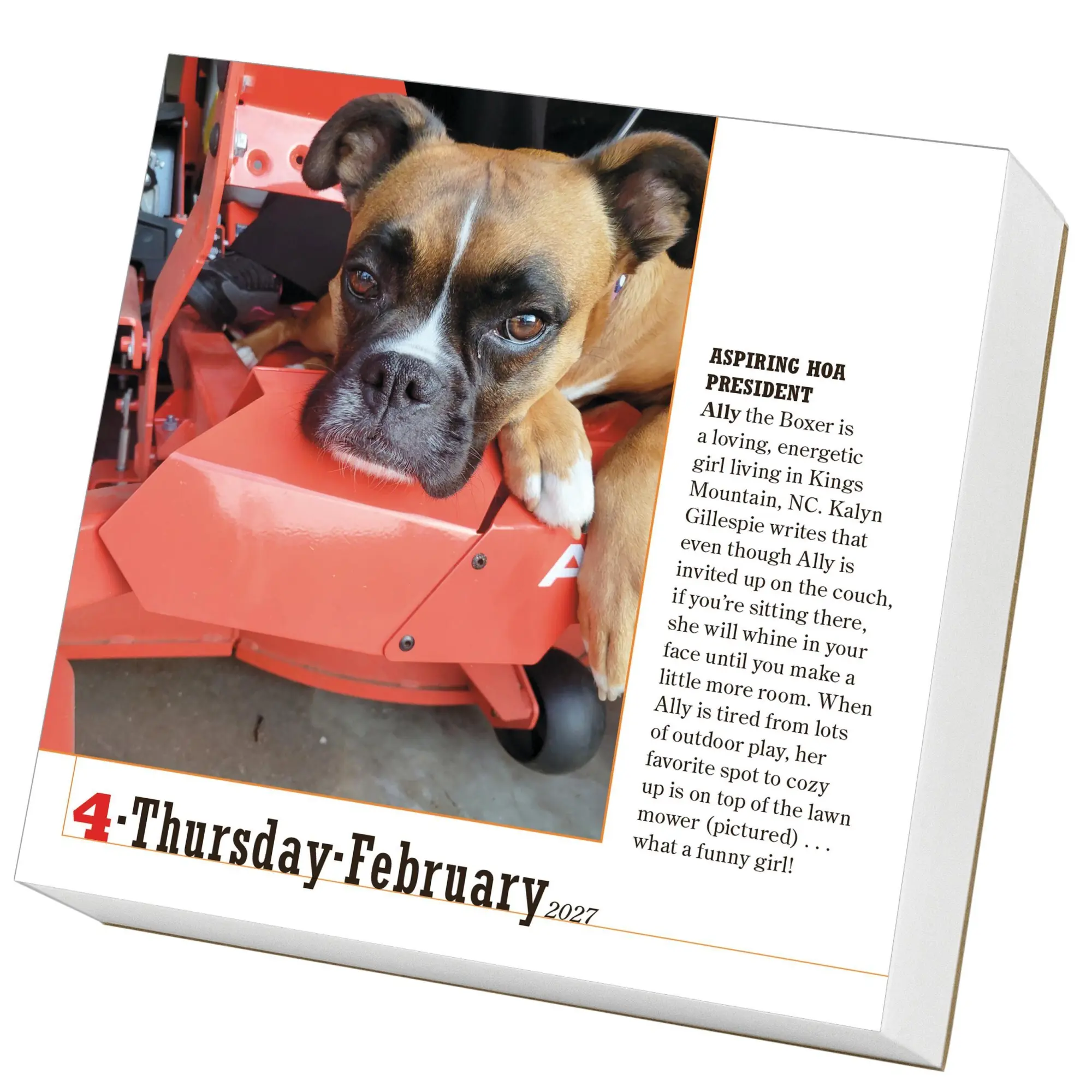 Bild: 9781523533862 | 365 Dogs Page-A-Day® Calendar 2027 | The World's Favorite Dog Calendar