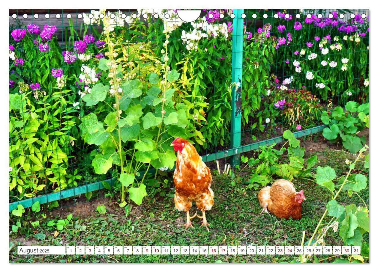 Bild: 9783383993862 | Dorfidylle - Landleben in Russland (Wandkalender 2025 DIN A4 quer),...
