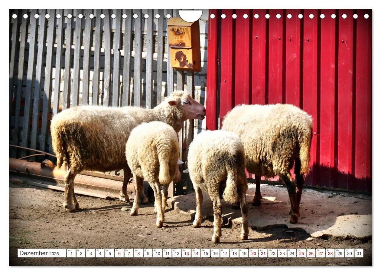 Bild: 9783383993862 | Dorfidylle - Landleben in Russland (Wandkalender 2025 DIN A4 quer),...