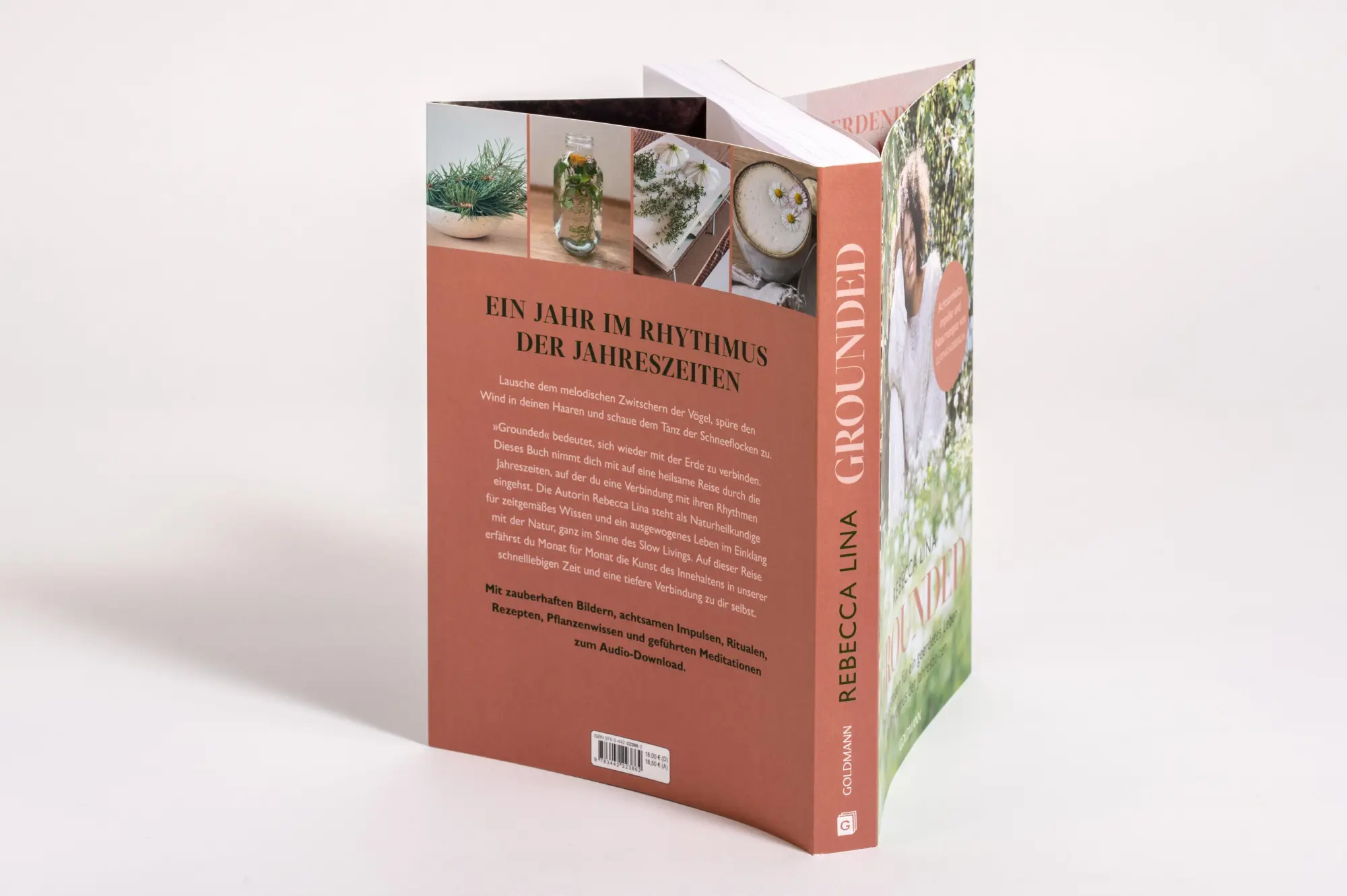 Bild: 9783442223862 | Grounded | Rebecca Lina | Taschenbuch | 376 S. | Deutsch | 2024