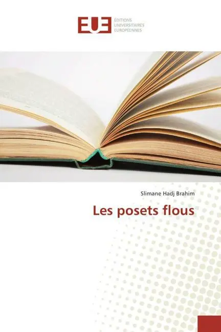 Cover: 9783841673862 | Les posets flous | Slimane Hadj Brahim | Taschenbuch | Paperback