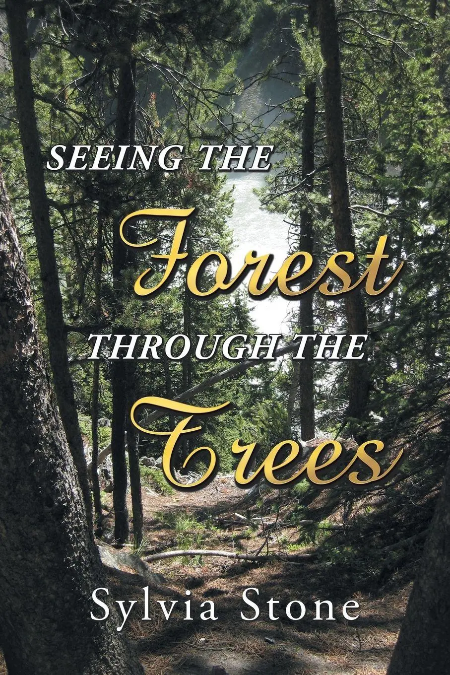 Cover: 9781982203962 | Seeing the Forest Through the Trees | Sylvia Stone | Taschenbuch