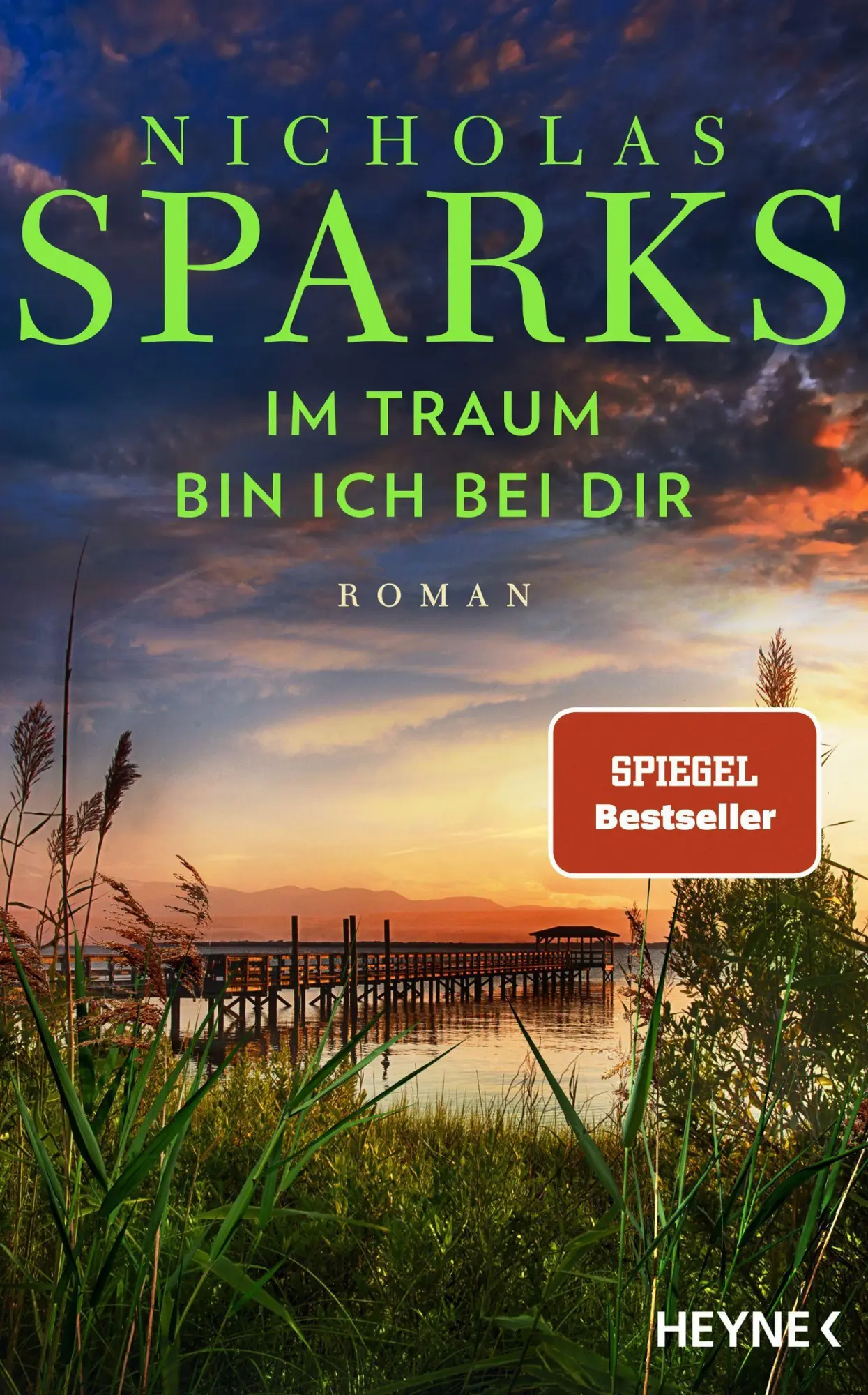 Cover: 9783453273962 | Im Traum bin ich bei dir | Roman | Nicholas Sparks | Buch | 384 S.