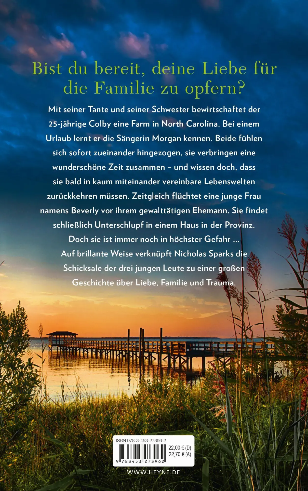 Bild: 9783453273962 | Im Traum bin ich bei dir | Roman | Nicholas Sparks | Buch | 384 S.