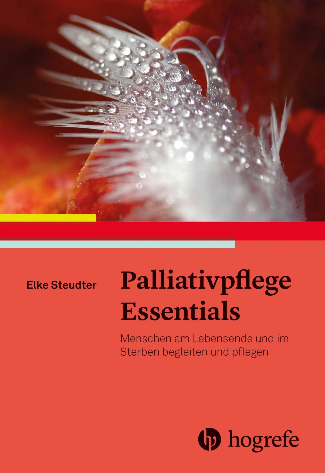 Cover: 9783456863962 | Palliativpflege Essentials | Elke Steudter | Taschenbuch | 176 S.