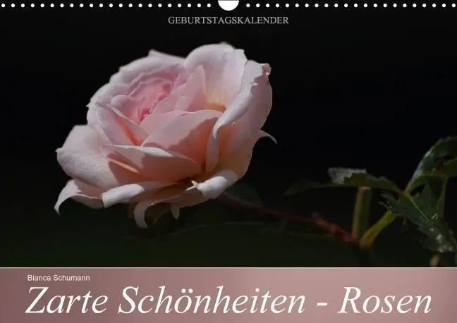 Cover: 9783660633962 | Zarte Schönheiten - Rosen (Wandkalender immerwährend DIN A3 quer)