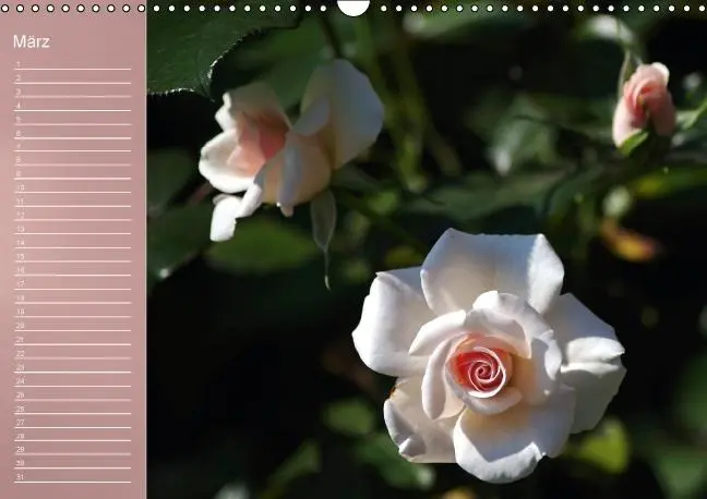 Bild: 9783660633962 | Zarte Schönheiten - Rosen (Wandkalender immerwährend DIN A3 quer)
