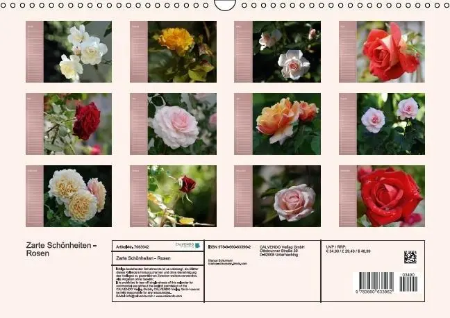 Bild: 9783660633962 | Zarte Schönheiten - Rosen (Wandkalender immerwährend DIN A3 quer)