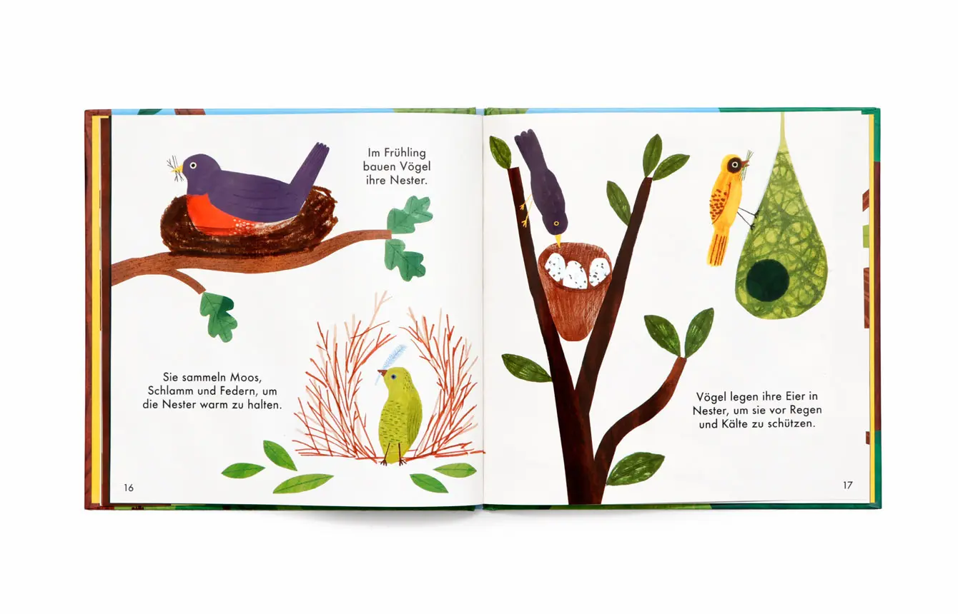 Bild: 9783962443962 | Wunderbarer Wald: Vögel und Bäume | Susie Williams | Buch | 32 S.