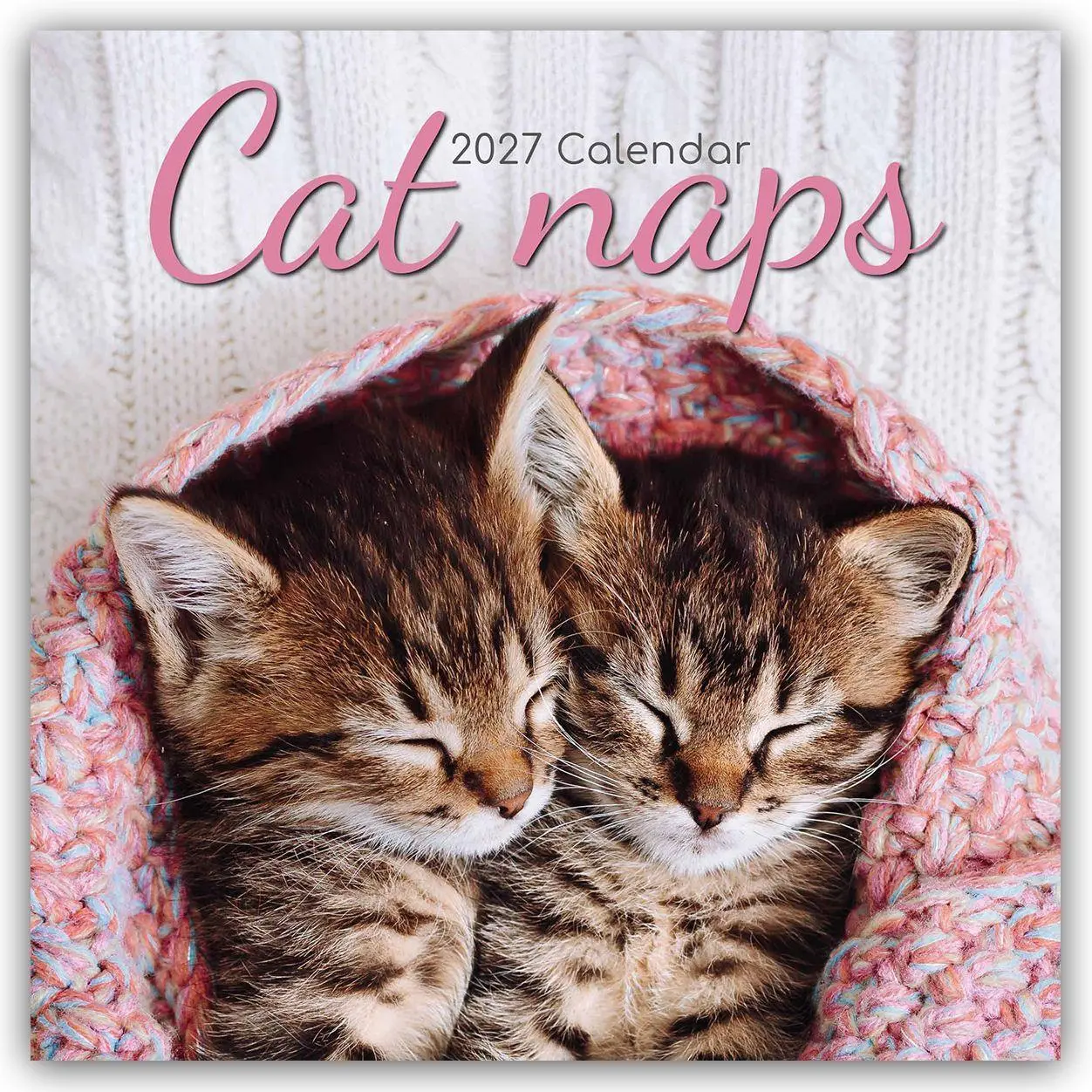 Cover: 9781805974062 | Cat Naps - Träumende Katzen 2027 - 16-Monatskalender | Ltd | Kalender