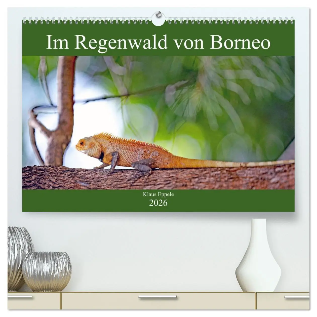 Cover: 9783457674062 | Im Regenwald von Borneo (hochwertiger Premium Wandkalender 2026 DIN...