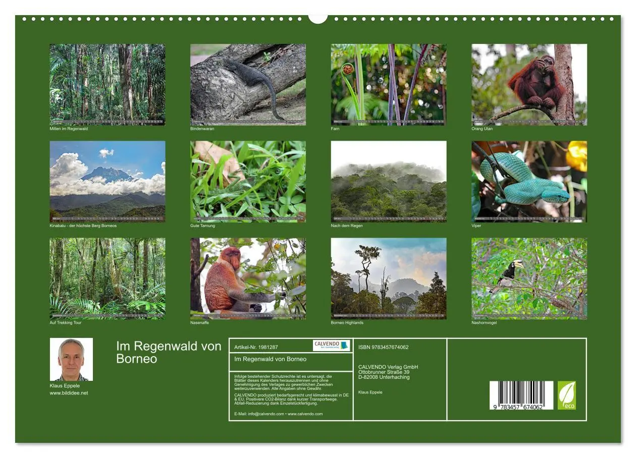 Bild: 9783457674062 | Im Regenwald von Borneo (hochwertiger Premium Wandkalender 2026 DIN...