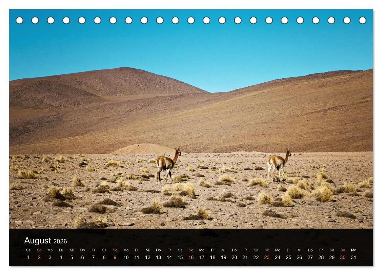 Bild: 9783516074062 | Atacama: Die Wüste im Norden Chiles (Tischkalender 2026 DIN A5...
