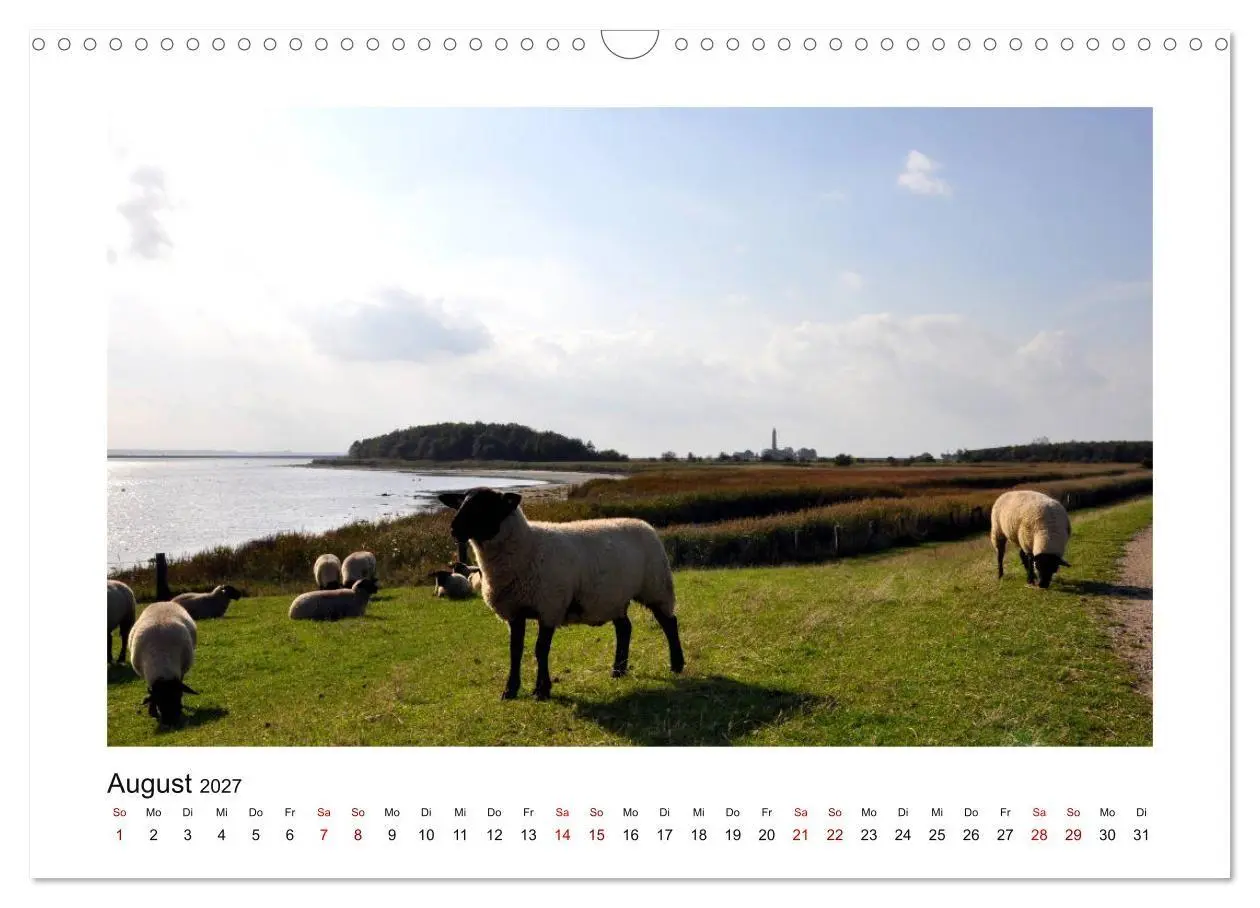 Bild: 9783569854062 | Fehmarn - Bewegende Momente (Wandkalender 2027 DIN A3 quer),...
