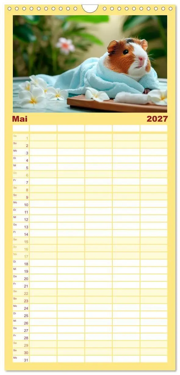 Bild: 9783594294062 | Familienplaner 2027 - Meerschweinchen - Hauptsache Urlaub mit 5...