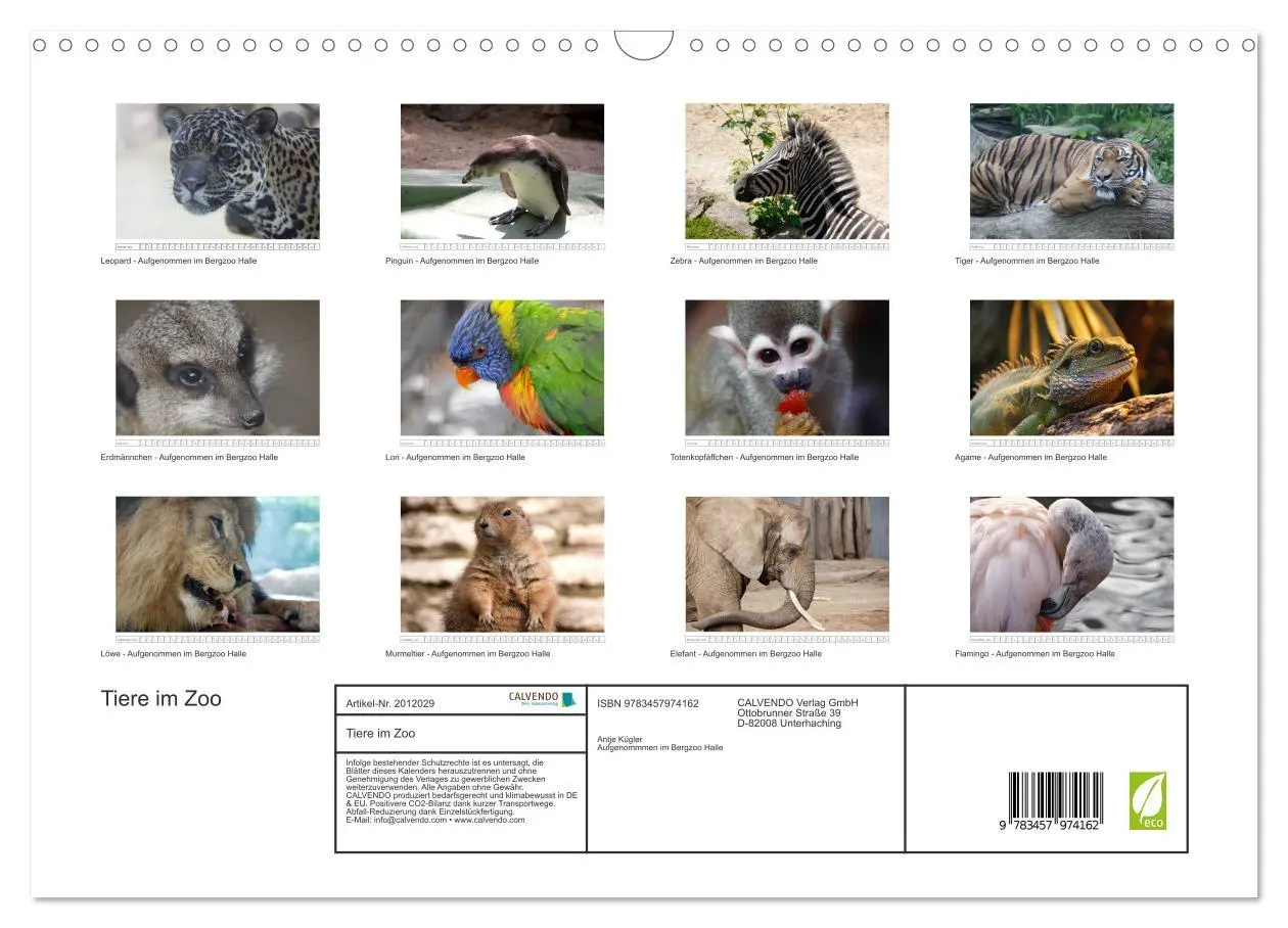 Bild: 9783457974162 | Tiere im Zoo (Wandkalender 2026 DIN A3 quer), CALVENDO Monatskalender