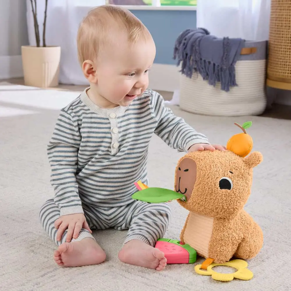 Bild: 194735254262 | Fisher-Price Kuschel-Capybara | Offene Verpackung | HYR54 | Deutsch