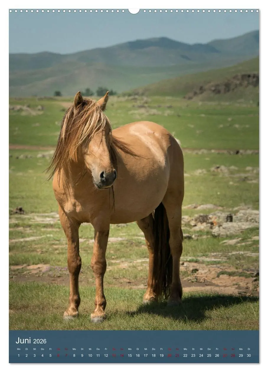 Bild: 9783516294262 | Mongolei - Mensch, Natur und Religion im Einklang (hochwertiger...