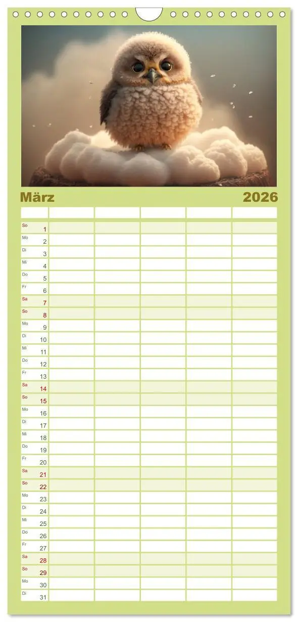 Bild: 9783516504262 | Familienplaner 2026 - Eule gut... alles gut! mit 5 Spalten...
