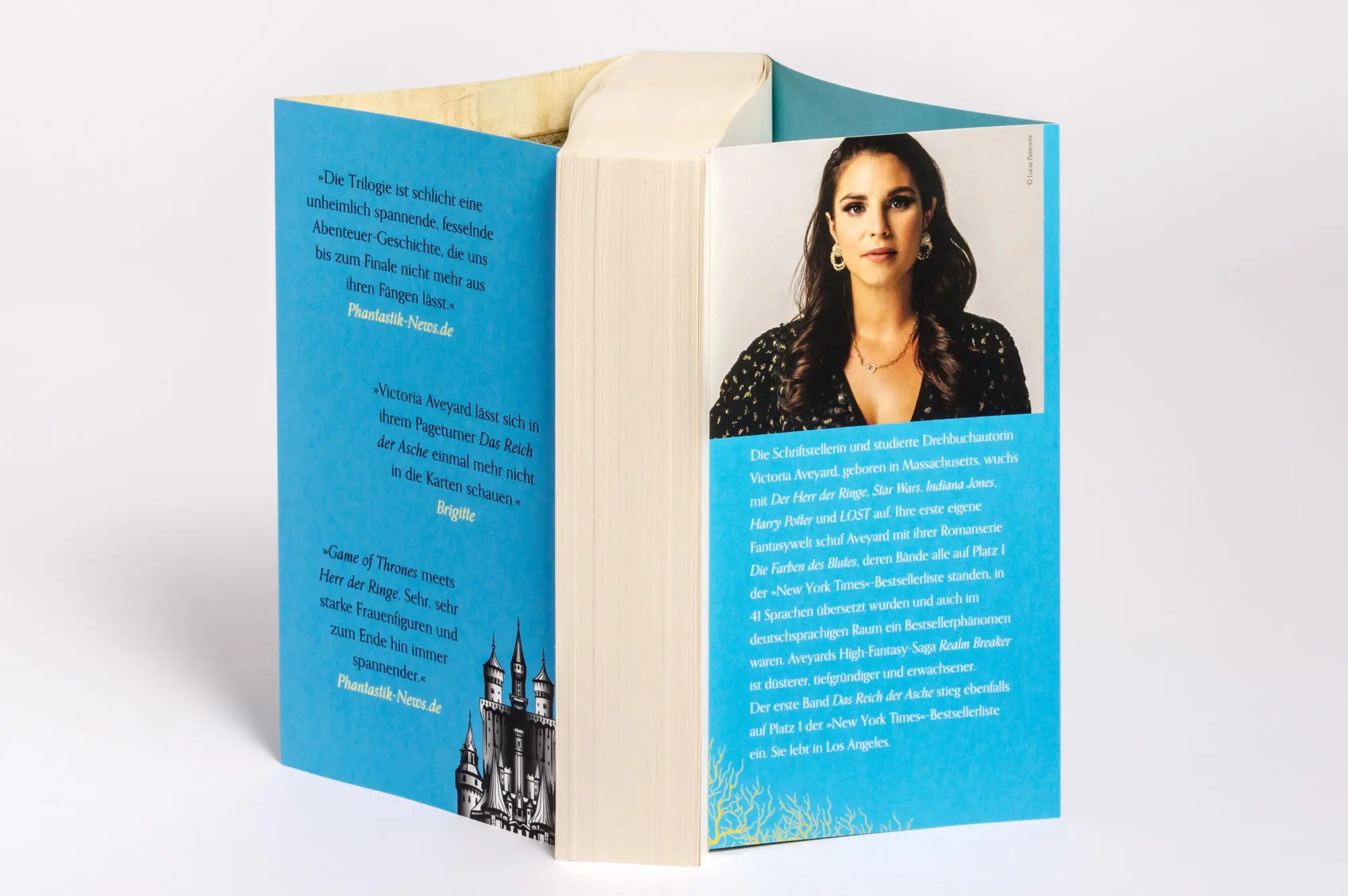 Bild: 9783734164262 | Das Reich der Spindeln - Realm Breaker 3 | Victoria Aveyard | Buch