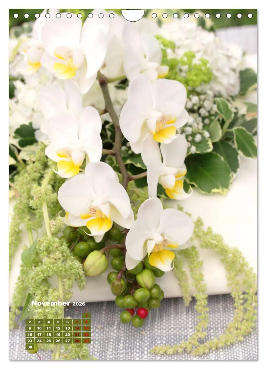 Bild: 9783516354362 | Orchideenschätze (Wandkalender 2026 DIN A4 hoch), CALVENDO...