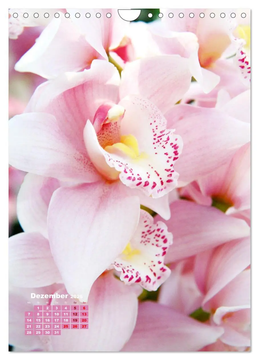 Bild: 9783516354362 | Orchideenschätze (Wandkalender 2026 DIN A4 hoch), CALVENDO...