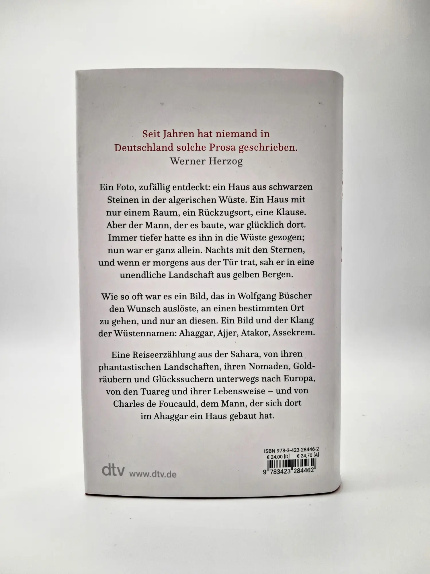 Bild: 9783423284462 | Der Weg | Eine Reise durch die Sahara | Wolfgang Büscher | Buch | 2025
