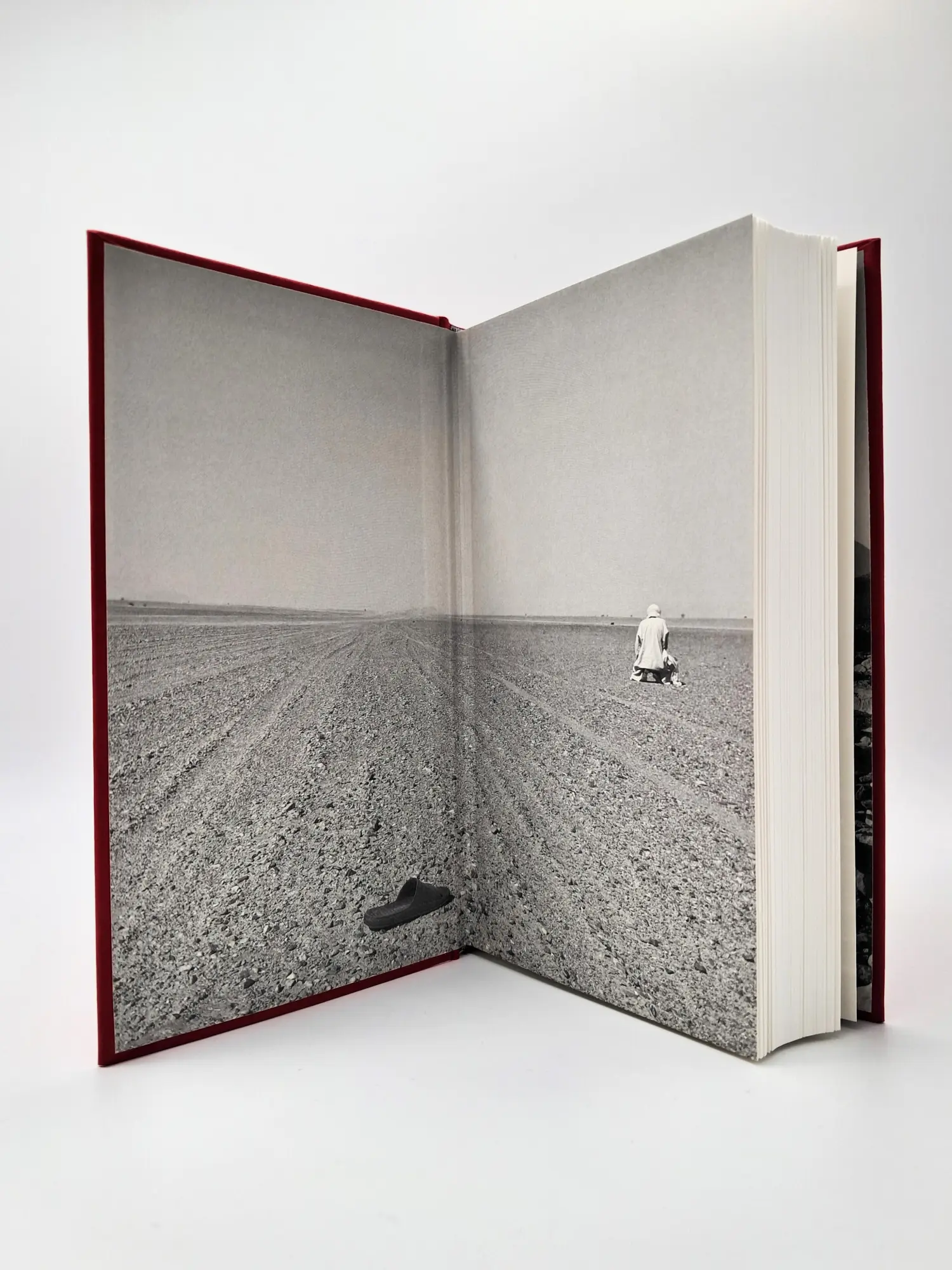 Bild: 9783423284462 | Der Weg | Eine Reise durch die Sahara | Wolfgang Büscher | Buch | 2025