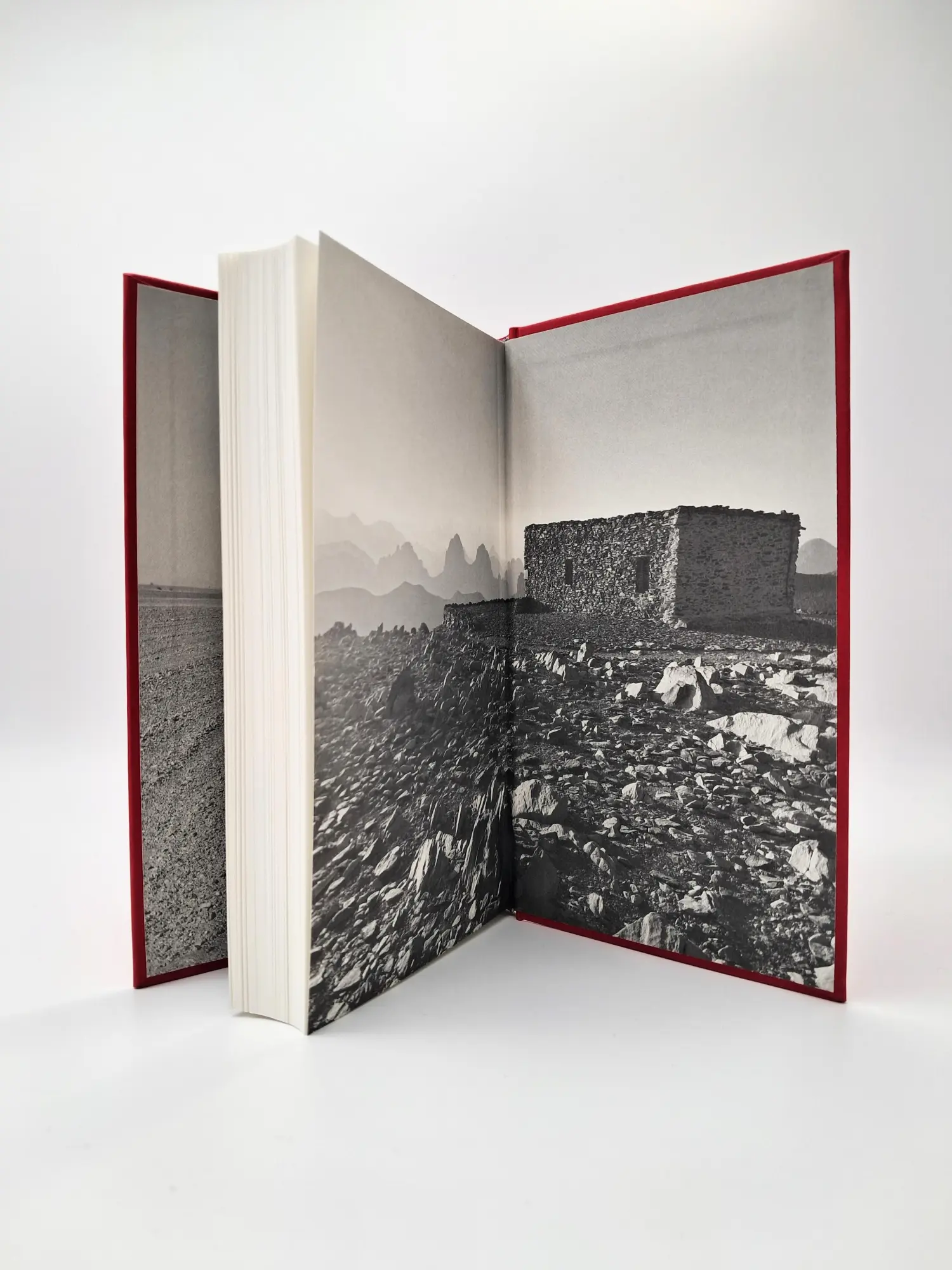 Bild: 9783423284462 | Der Weg | Eine Reise durch die Sahara | Wolfgang Büscher | Buch | 2025