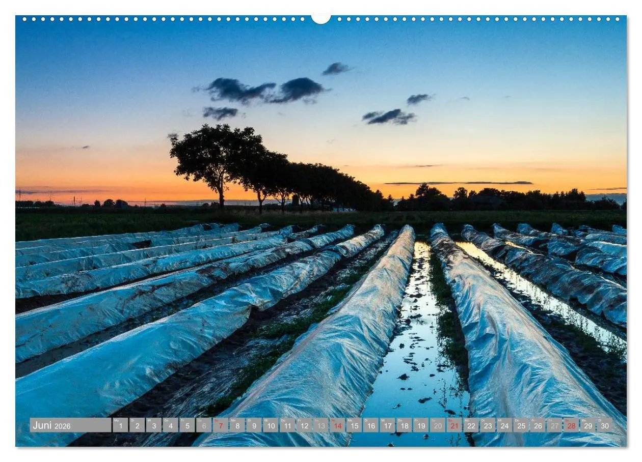 Bild: 9783516034462 | Kurpfalz 2026 (hochwertiger Premium Wandkalender 2026 DIN A2 quer),...