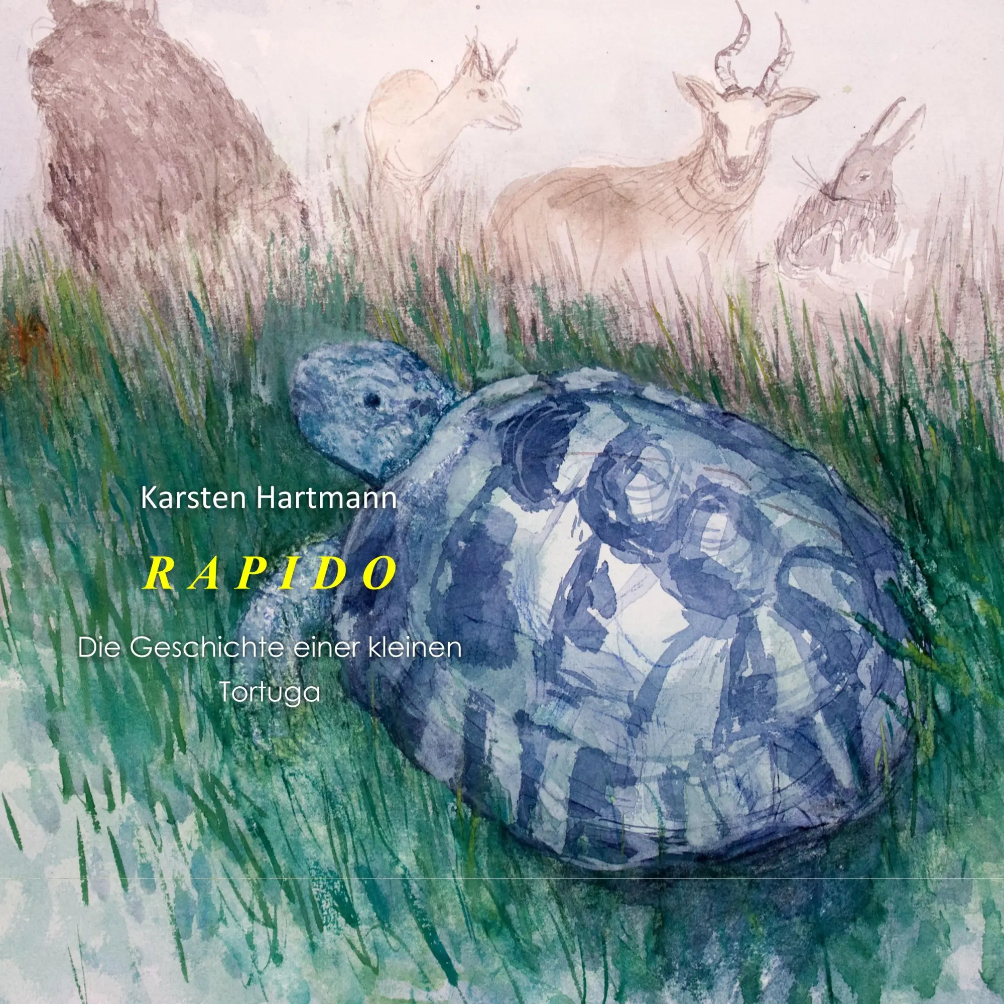 Cover: 9783752894462 | Rapido | die Geschichten einer kleinen Tortuga | Karsten Hartmann
