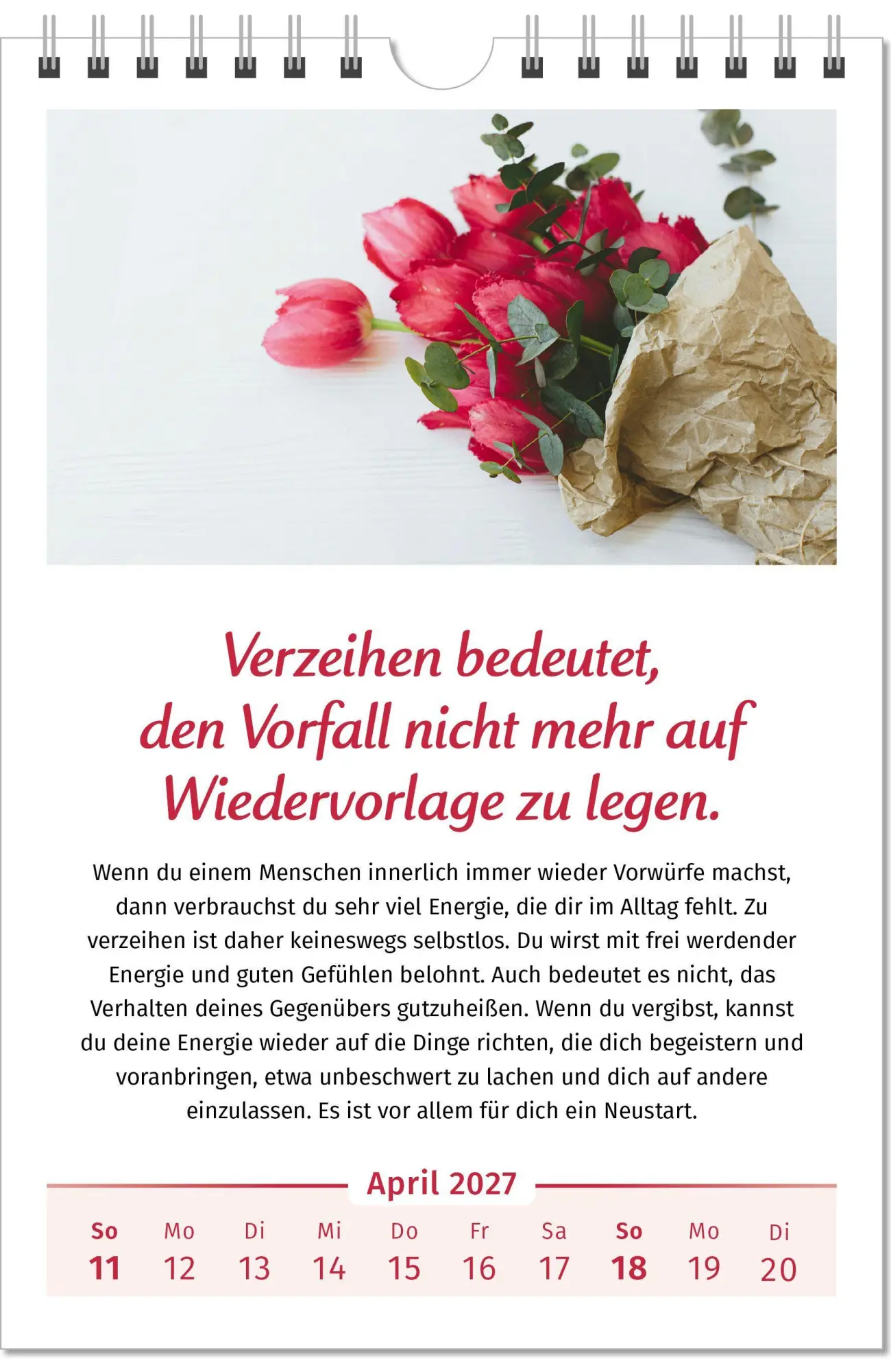Bild: 9783910294462 | Der Lebensfreude-Kalender 2027 | Doris Wolf (u. a.) | Kalender | 40 S.