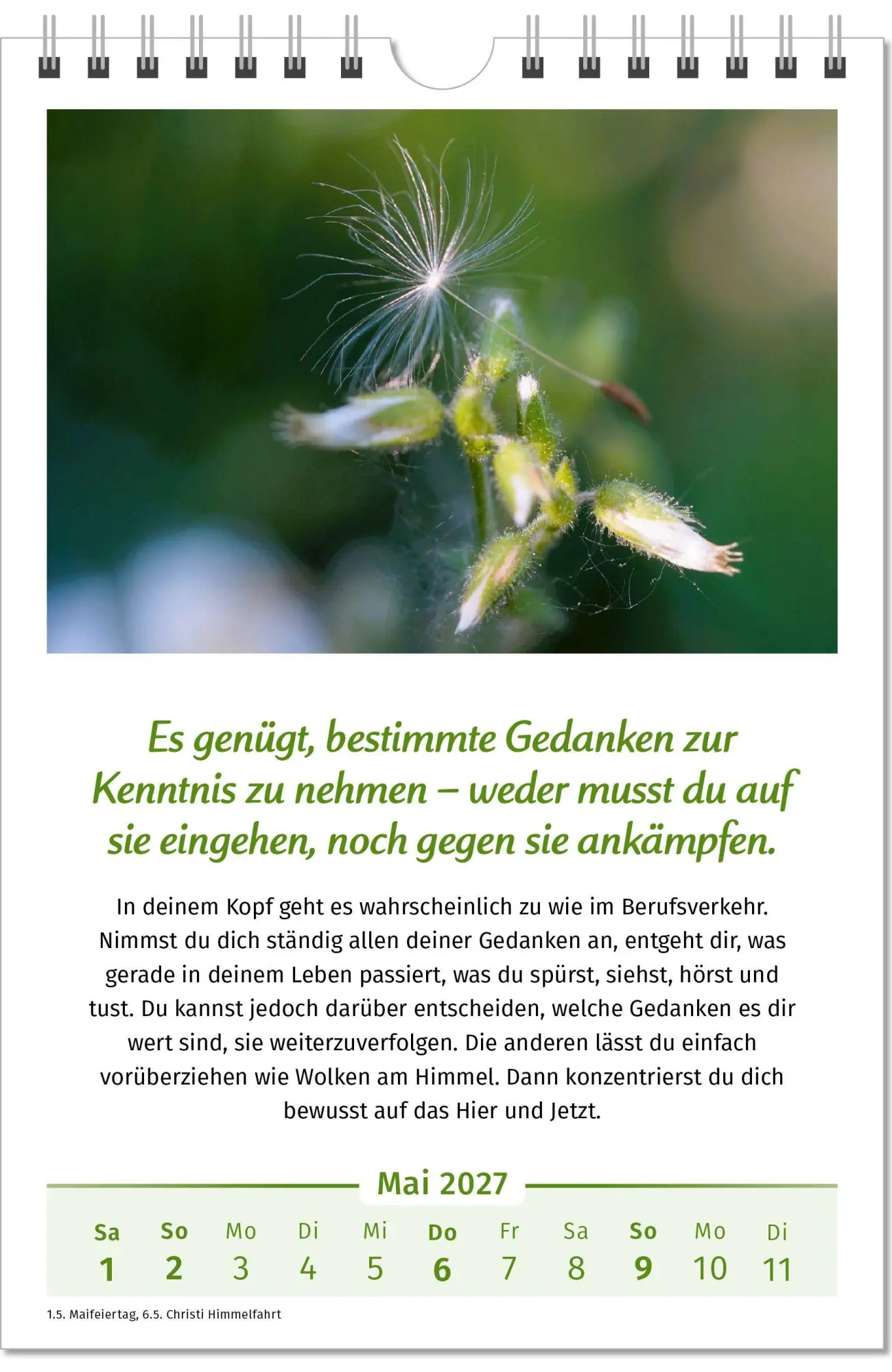 Bild: 9783910294462 | Der Lebensfreude-Kalender 2027 | Doris Wolf (u. a.) | Kalender | 40 S.