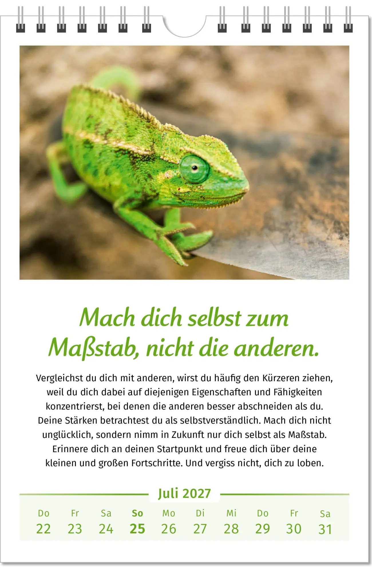 Bild: 9783910294462 | Der Lebensfreude-Kalender 2027 | Doris Wolf (u. a.) | Kalender | 40 S.
