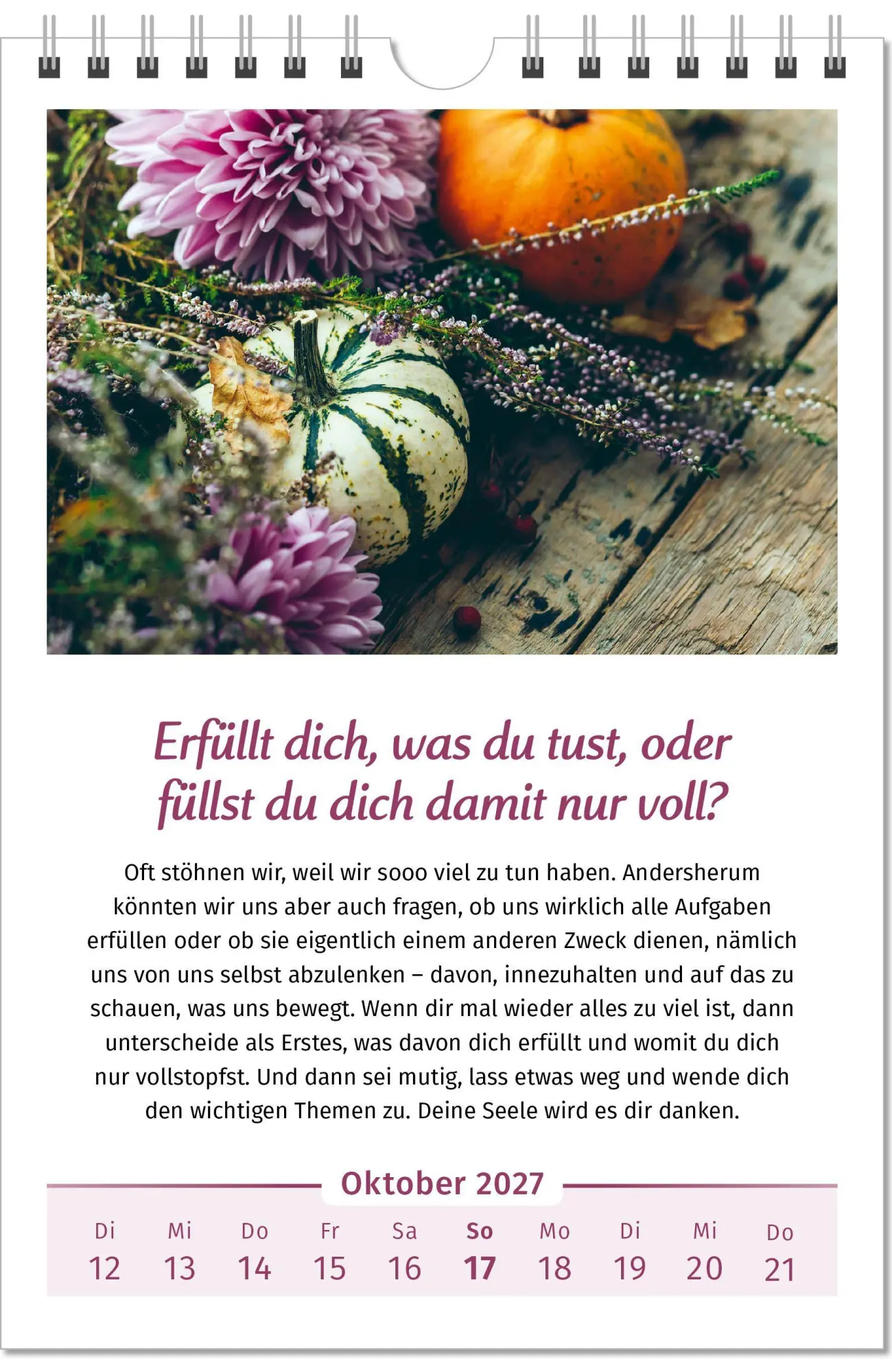 Bild: 9783910294462 | Der Lebensfreude-Kalender 2027 | Doris Wolf (u. a.) | Kalender | 40 S.