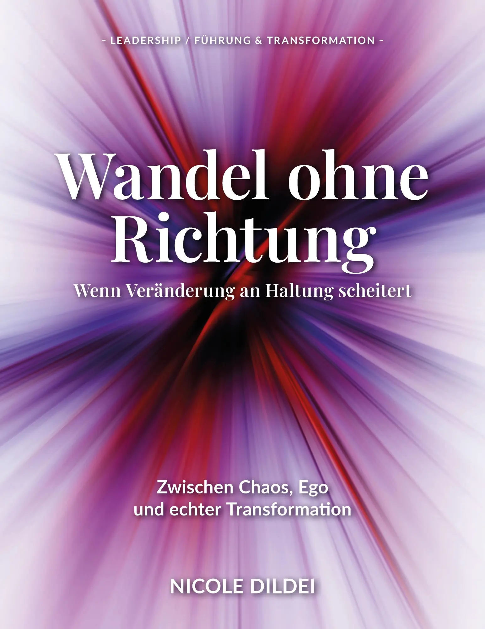 Cover: 9783384744562 | Wandel ohne Richtung - Wenn Veränderung an Haltung scheitert | Dildei