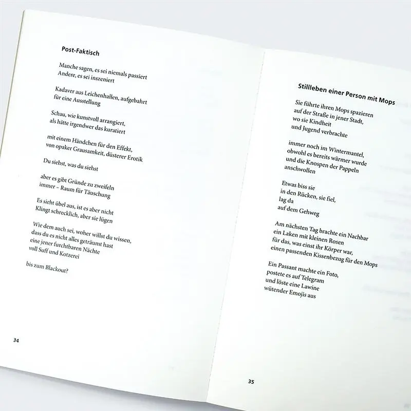Bild: 9783446284562 | Tagebuch einer Invasion | Oksana Maksymchuk | Buch | 112 S. | Deutsch