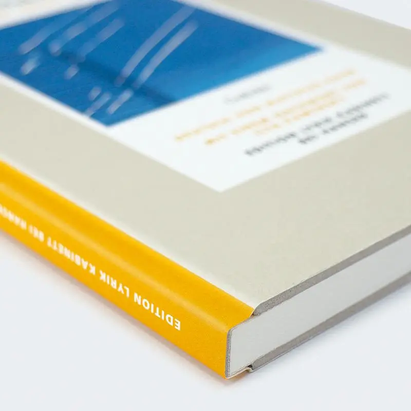 Bild: 9783446284562 | Tagebuch einer Invasion | Oksana Maksymchuk | Buch | 112 S. | Deutsch