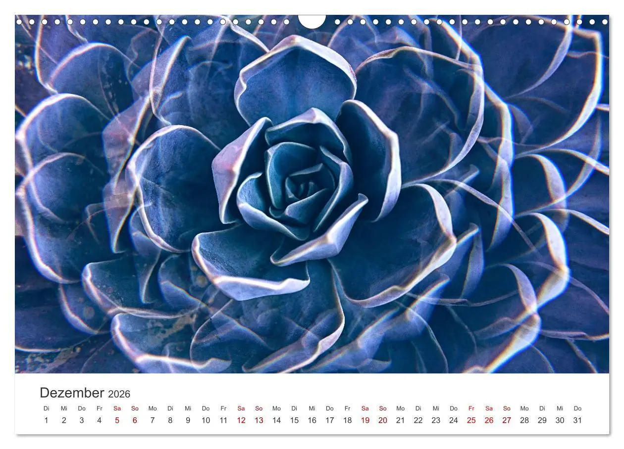 Bild: 9783457554562 | ZEN - Eine Reise zu sich selbst (Wandkalender 2026 DIN A3 quer),...
