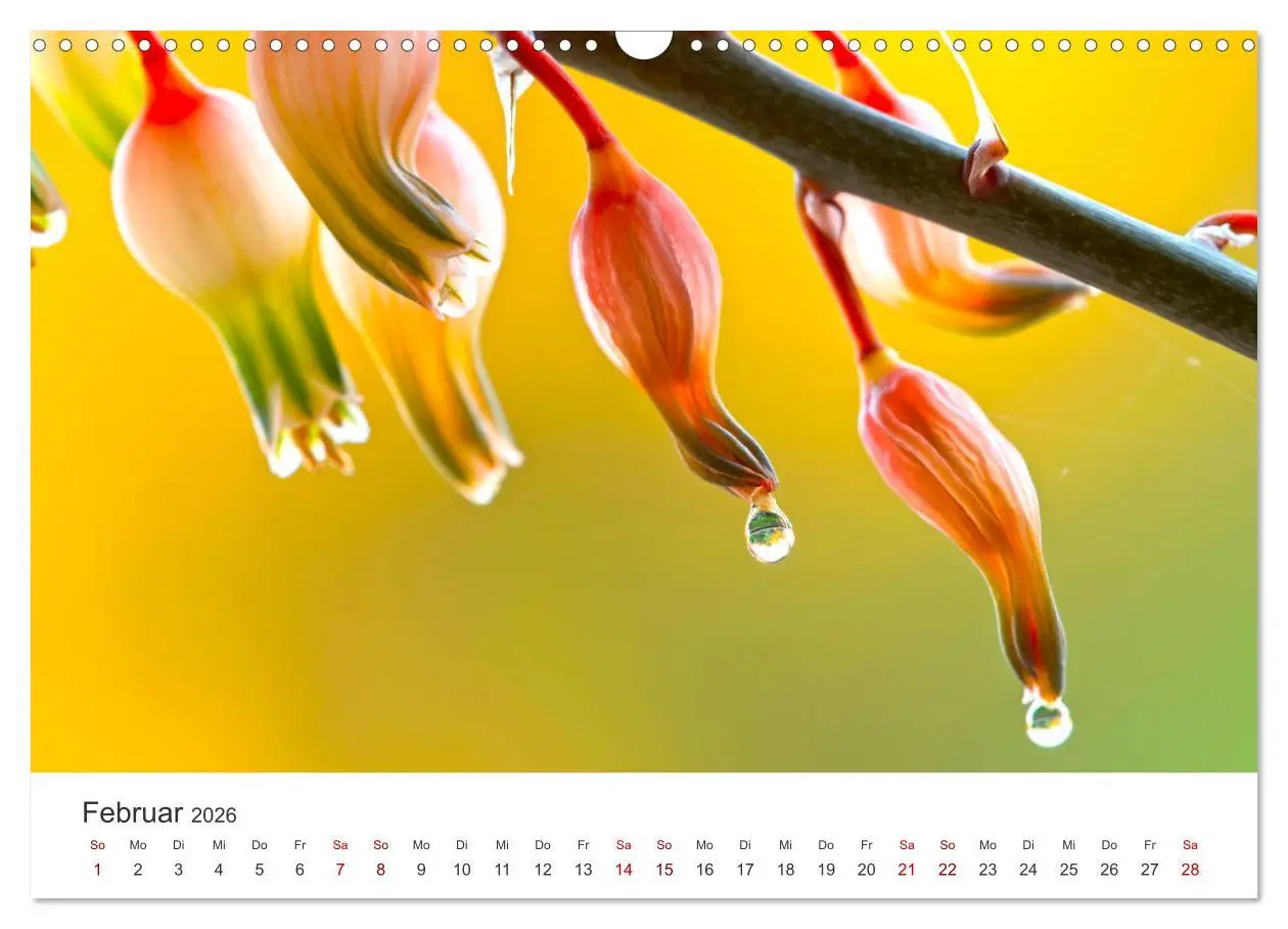 Bild: 9783457554562 | ZEN - Eine Reise zu sich selbst (Wandkalender 2026 DIN A3 quer),...