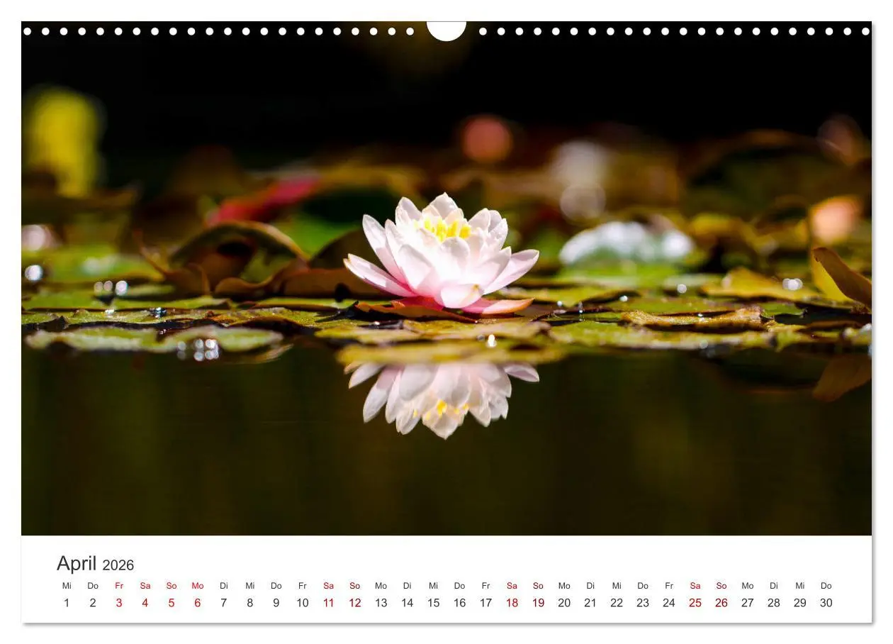 Bild: 9783457554562 | ZEN - Eine Reise zu sich selbst (Wandkalender 2026 DIN A3 quer),...