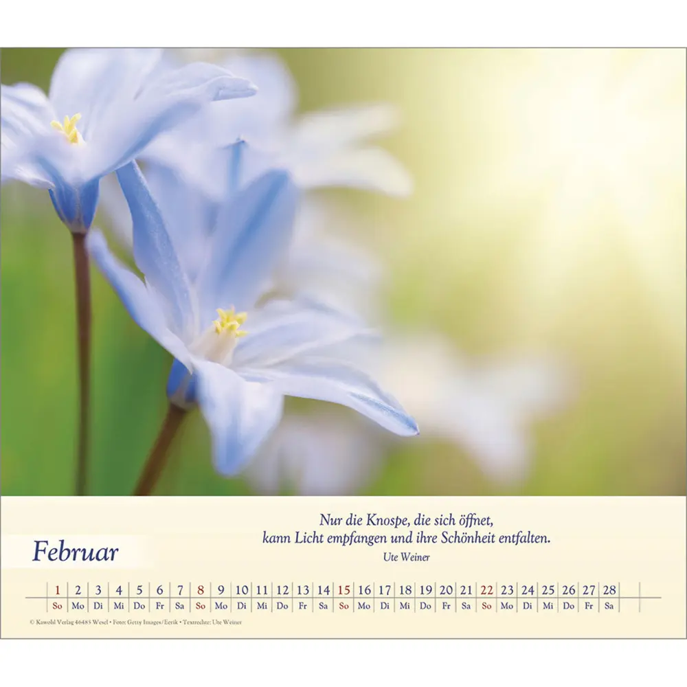 Bild: 9783754864562 | Balsam für deine Seele 2026 | Kalender | Spiralbindung | Deutsch